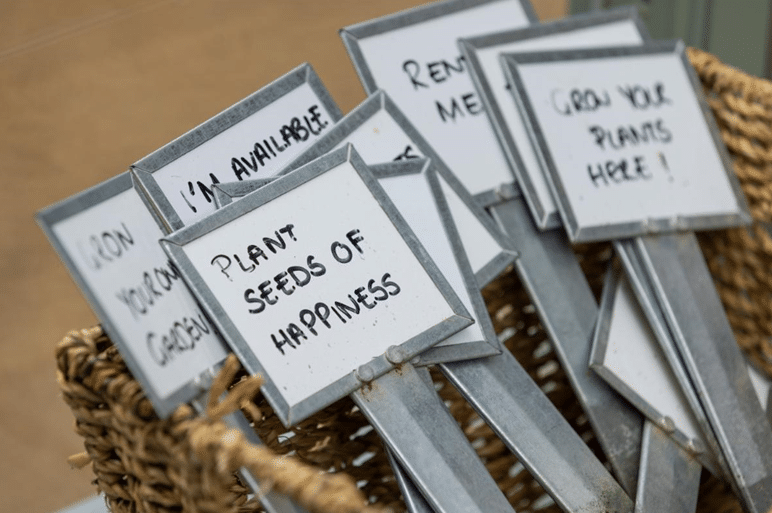 Plant seeds of happiness image