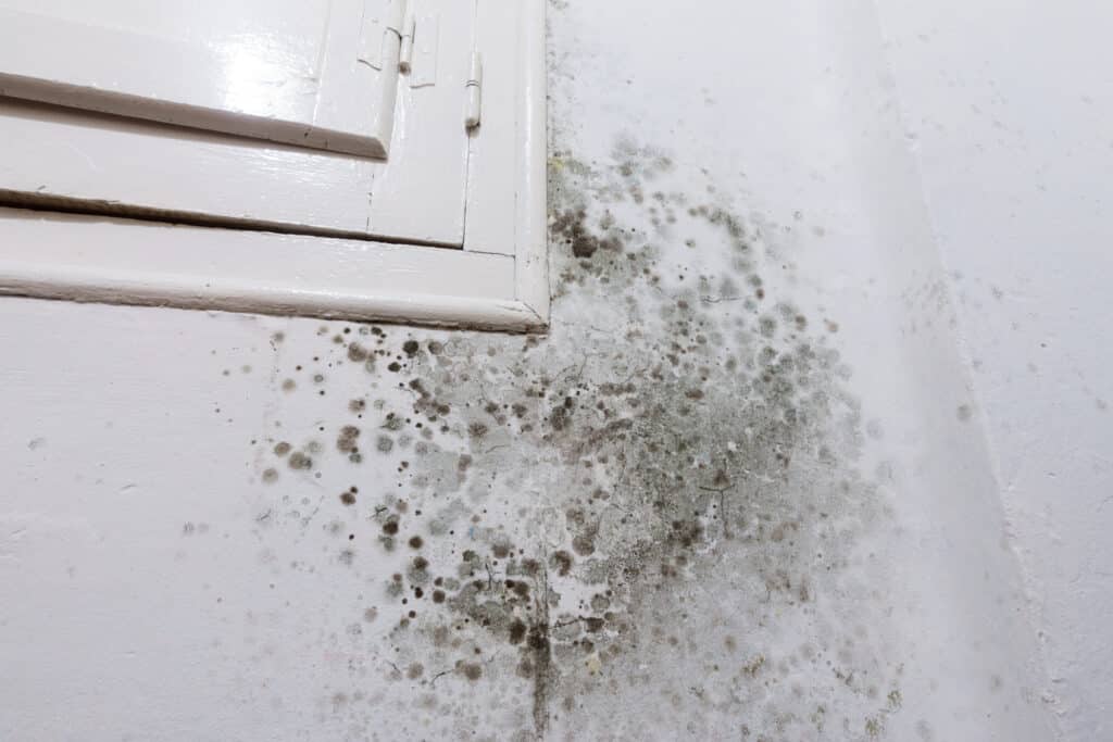 Detailed view of damp patches on a white wall with wooden vintage window