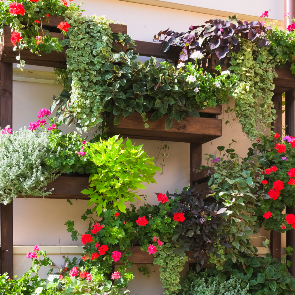 Vertical Gardens: Greening Your Apartment Balcony