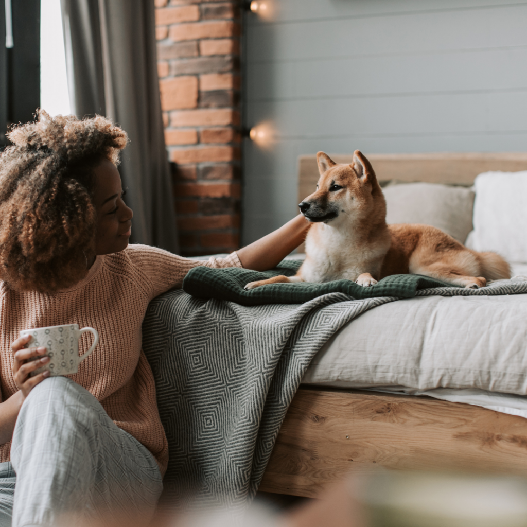 Pet-Friendly Flat Living: Creating Harmony in Shared Buildings
